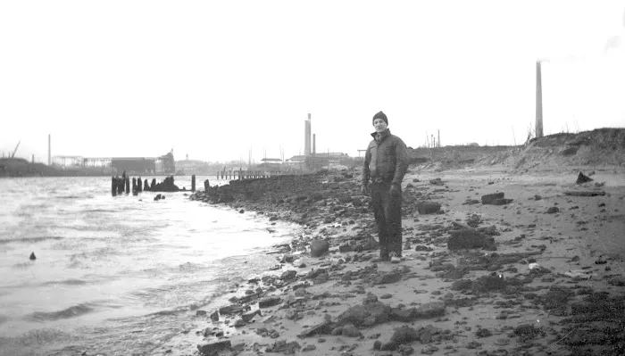 Plank Road Public Shoreline Picture 3