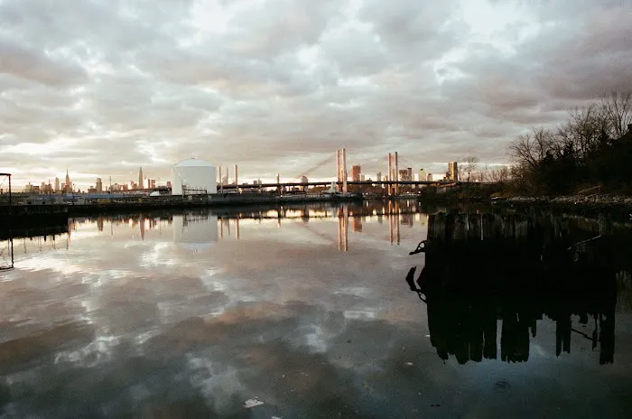 Plank Road Public Shoreline Picture 10