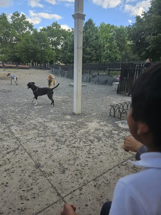 Maria Hernandez Park Dog Run Picture 3