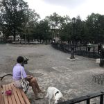 Maria Hernandez Park Dog Run