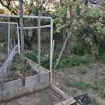 Betty's Community Garden at Hull Street