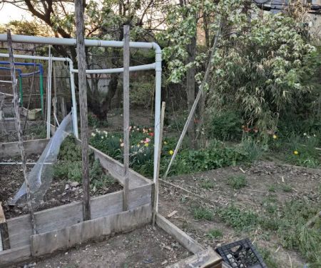 Betty's Community Garden at Hull Street