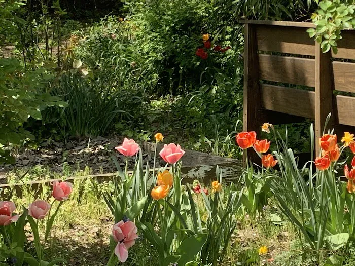 Betty's Community Garden at Hull Street Picture 6