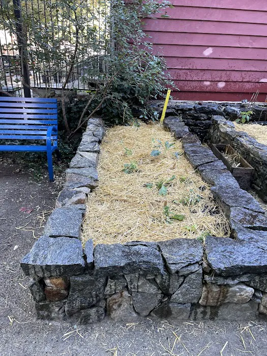 Decatur Street Community Garden Picture 3