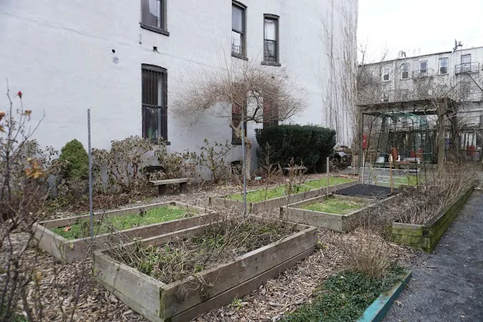 Cooper Street Community Garden Picture 2