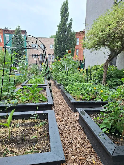 Cooper Street Community Garden Picture 4