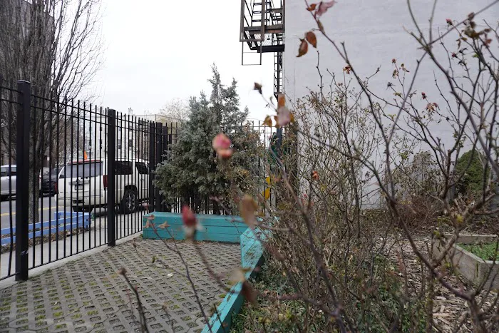 Cooper Street Community Garden Picture 1