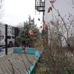 Cooper Street Community Garden