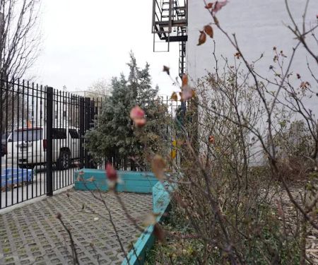 Cooper Street Community Garden