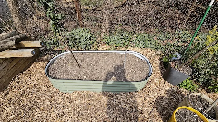 Cooper Street Community Garden Picture 5