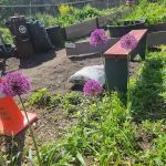 Moffat Street Community Garden