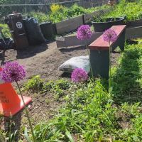 Moffat Street Community Garden ico