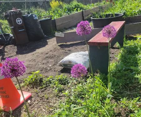 Moffat Street Community Garden