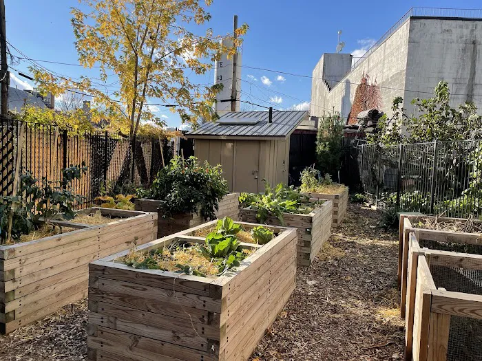 Williams Avenue Community Garden Picture 6