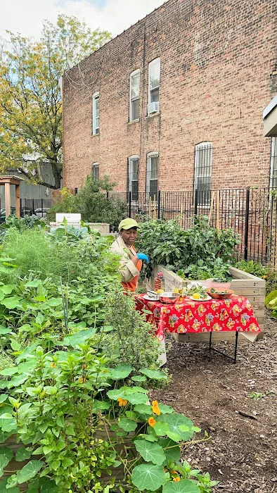 Williams Avenue Community Garden Picture 1