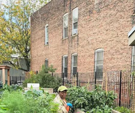 Williams Avenue Community Garden