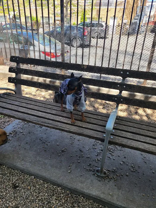 JH Crew Dog Park (Member Only) Picture 9