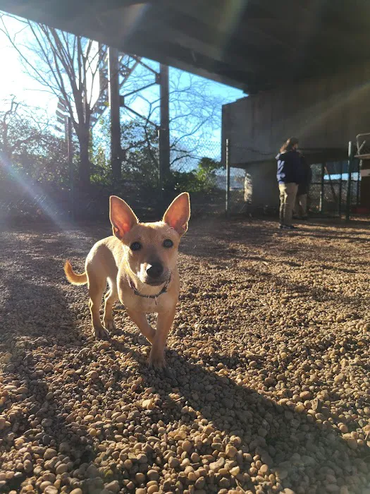 JH Crew Dog Park (Member Only) Picture 3