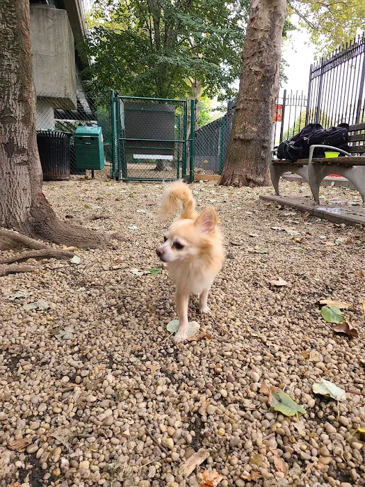 JH Crew Dog Park (Member Only) Picture 6