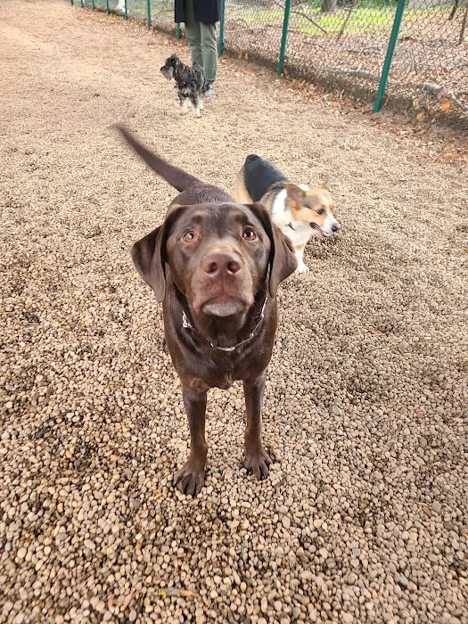 JH Crew Dog Park (Member Only) Picture 8