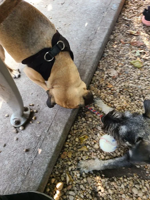 JH Crew Dog Park (Member Only) Picture 7
