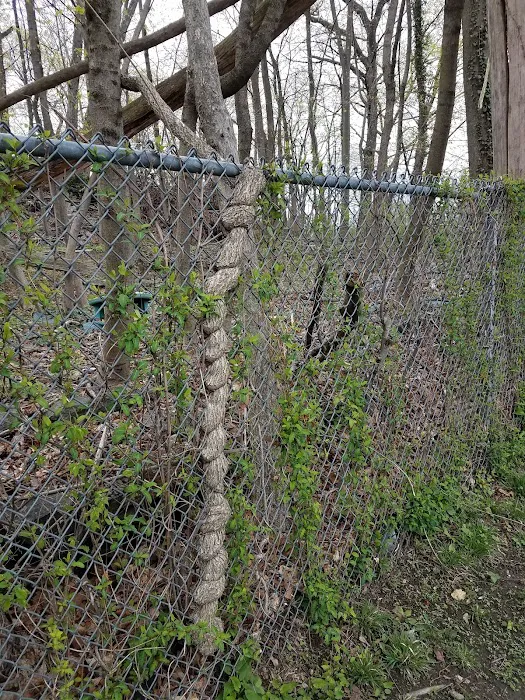 Gagliardo Park Picture 8