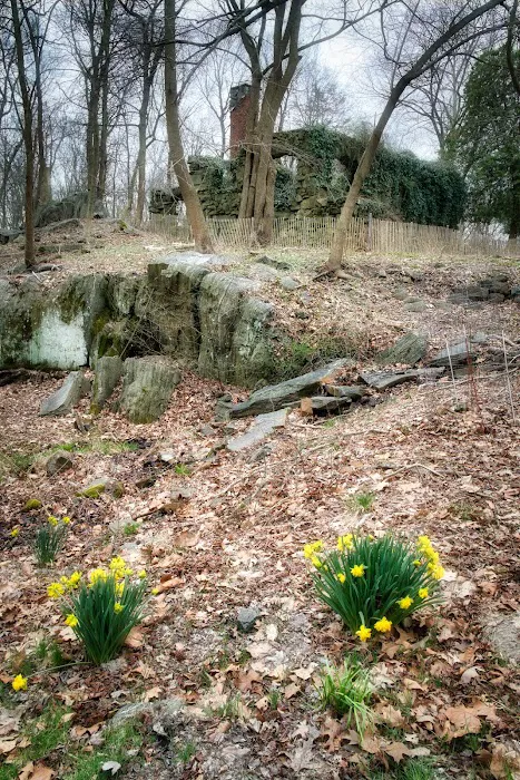 Rye Nature Center Picture 6