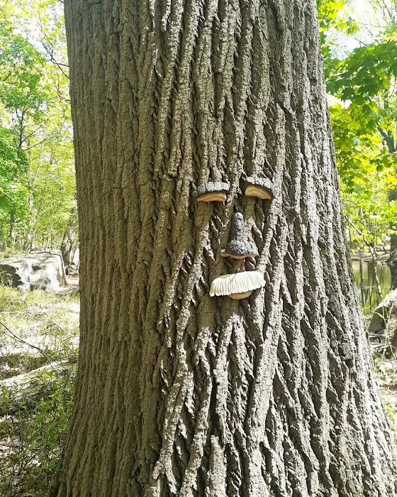 Rye Nature Center Picture 8