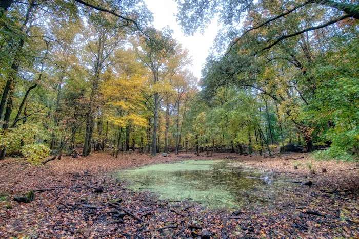 Rye Nature Center Picture 3