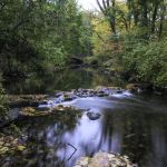 Rye Nature Center