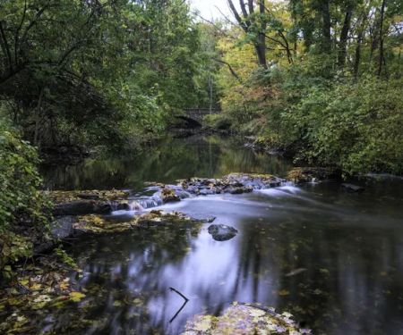 Rye Nature Center