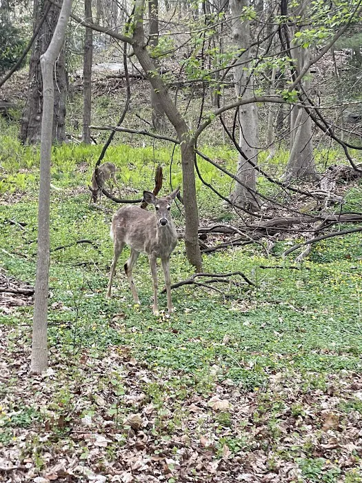 Rye Nature Center Picture 4