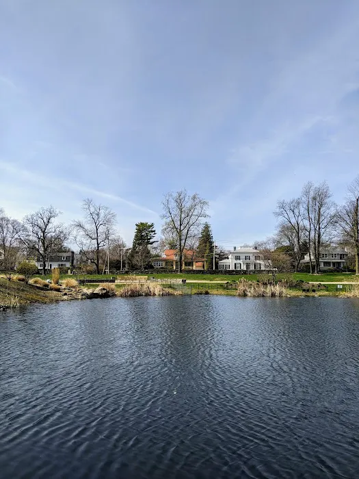 Rye Town Park Picture 6