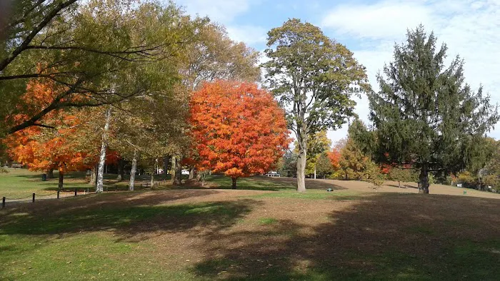 Rye Town Park Picture 7