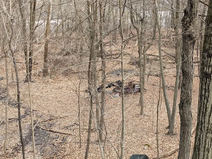 Hillside Park Picture 1