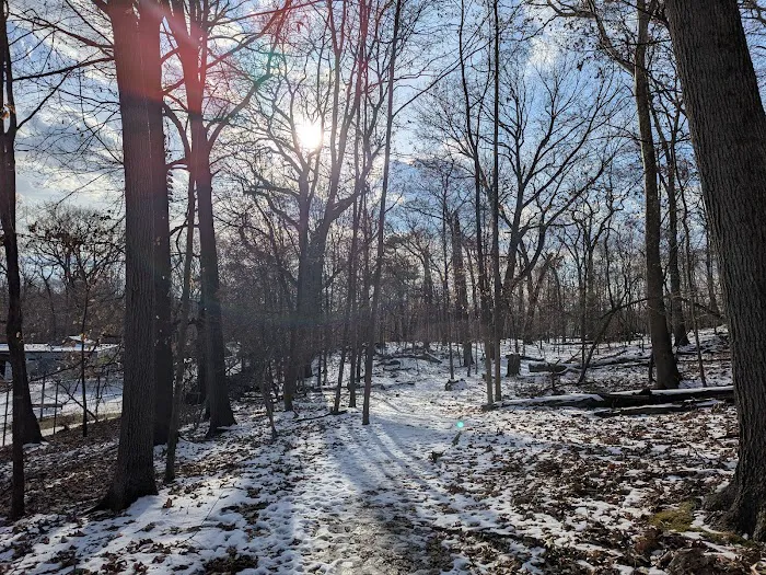 Hillside Park Picture 7
