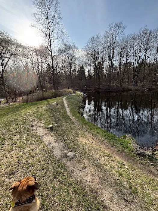 Hillside Park Picture 2