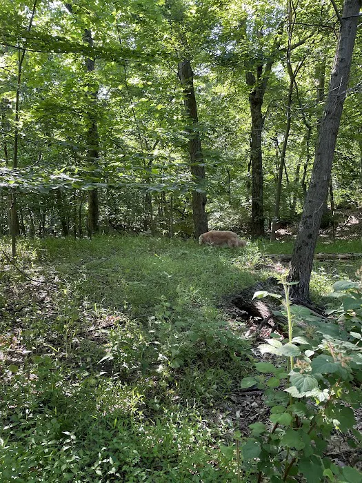 Hillside Park Picture 3