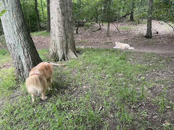 Hillside Park Picture 10
