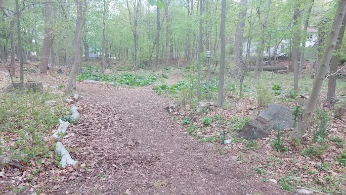 Dan Rile Memorial Park Picture 4