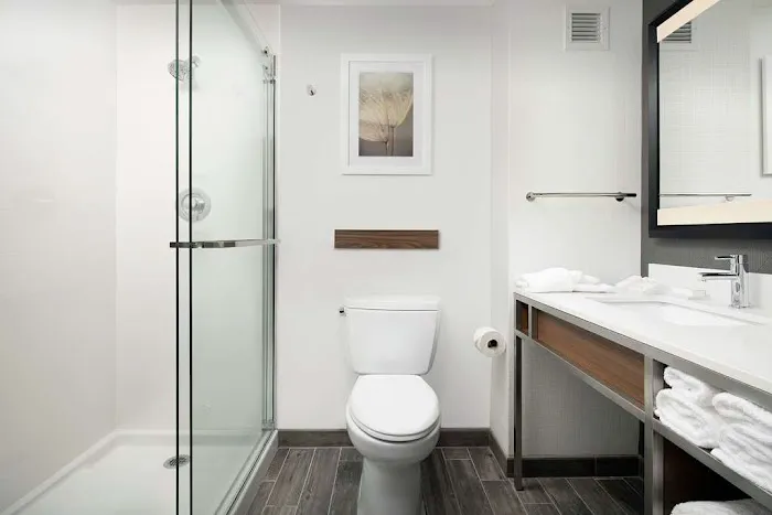 Hilton Garden Inn Westchester Dobbs Ferry Picture 9
