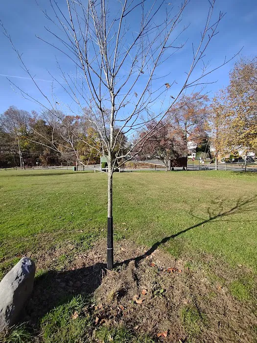 Louis Pascone Memorial Park Picture 3