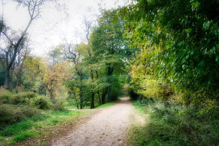 Quarry Park Picture 1
