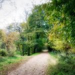 Quarry Park