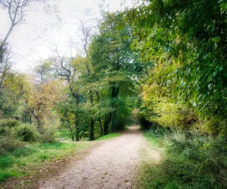 Quarry Park
