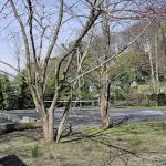 Riverview Park