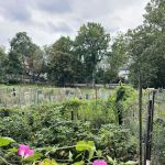 Zinsser Park