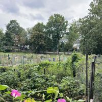 Zinsser Park ico