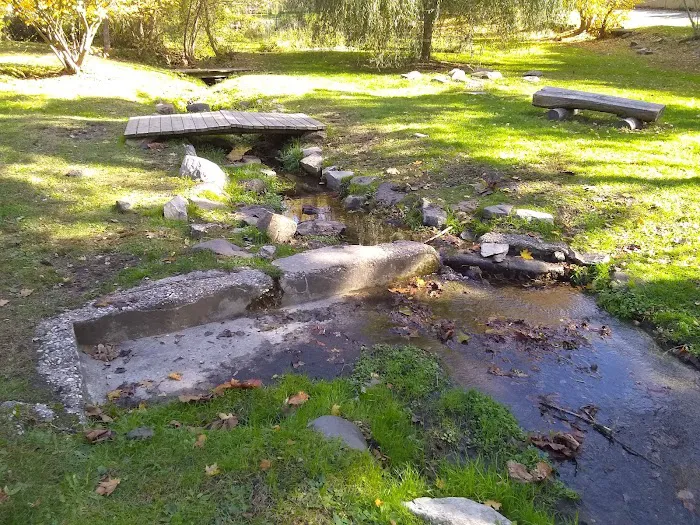 Community Gardens - Zinsser Park Picture 2