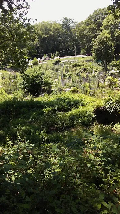 Community Gardens - Zinsser Park Picture 8